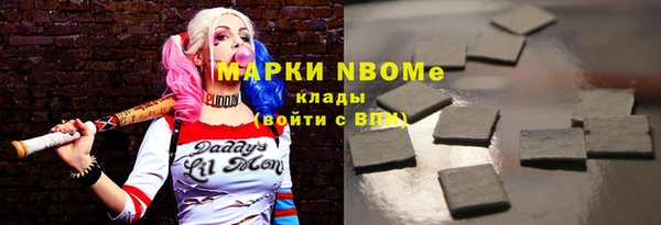 СК Новозыбков