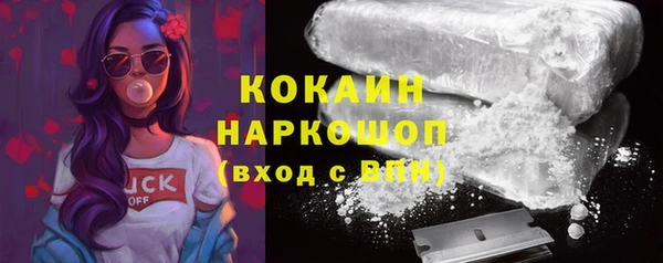 СК Новозыбков