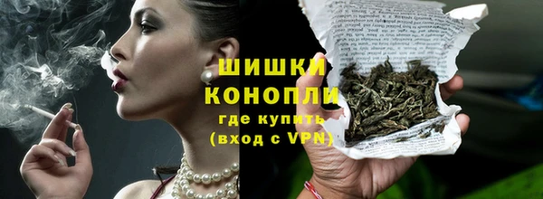 СК Новозыбков