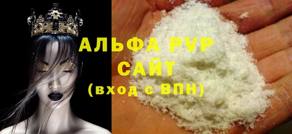 СК Новозыбков