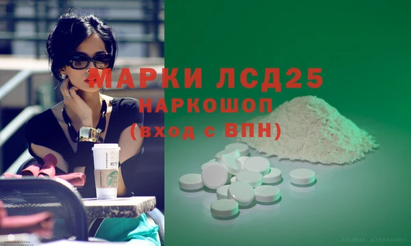 СК Новозыбков