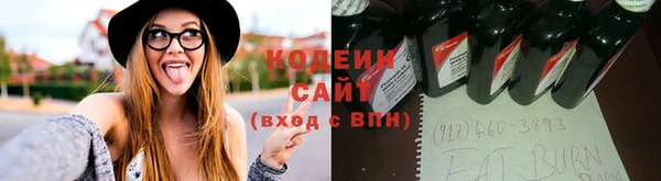шишки Губаха