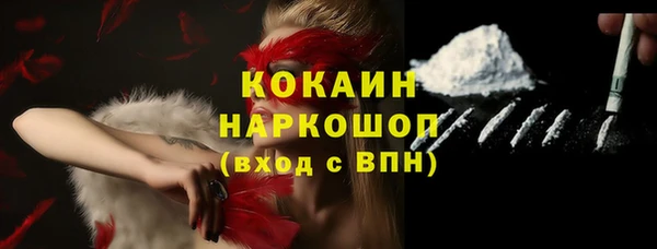СК Новозыбков