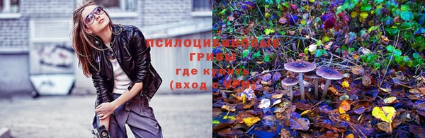 гидра Новокубанск