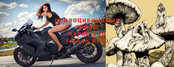 гидра Новокубанск