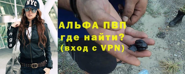 СК Новозыбков