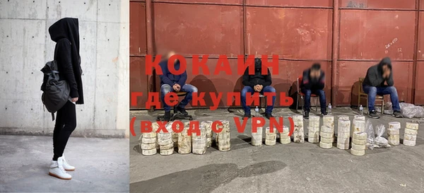 СК Новозыбков