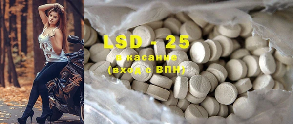 СК Новозыбков